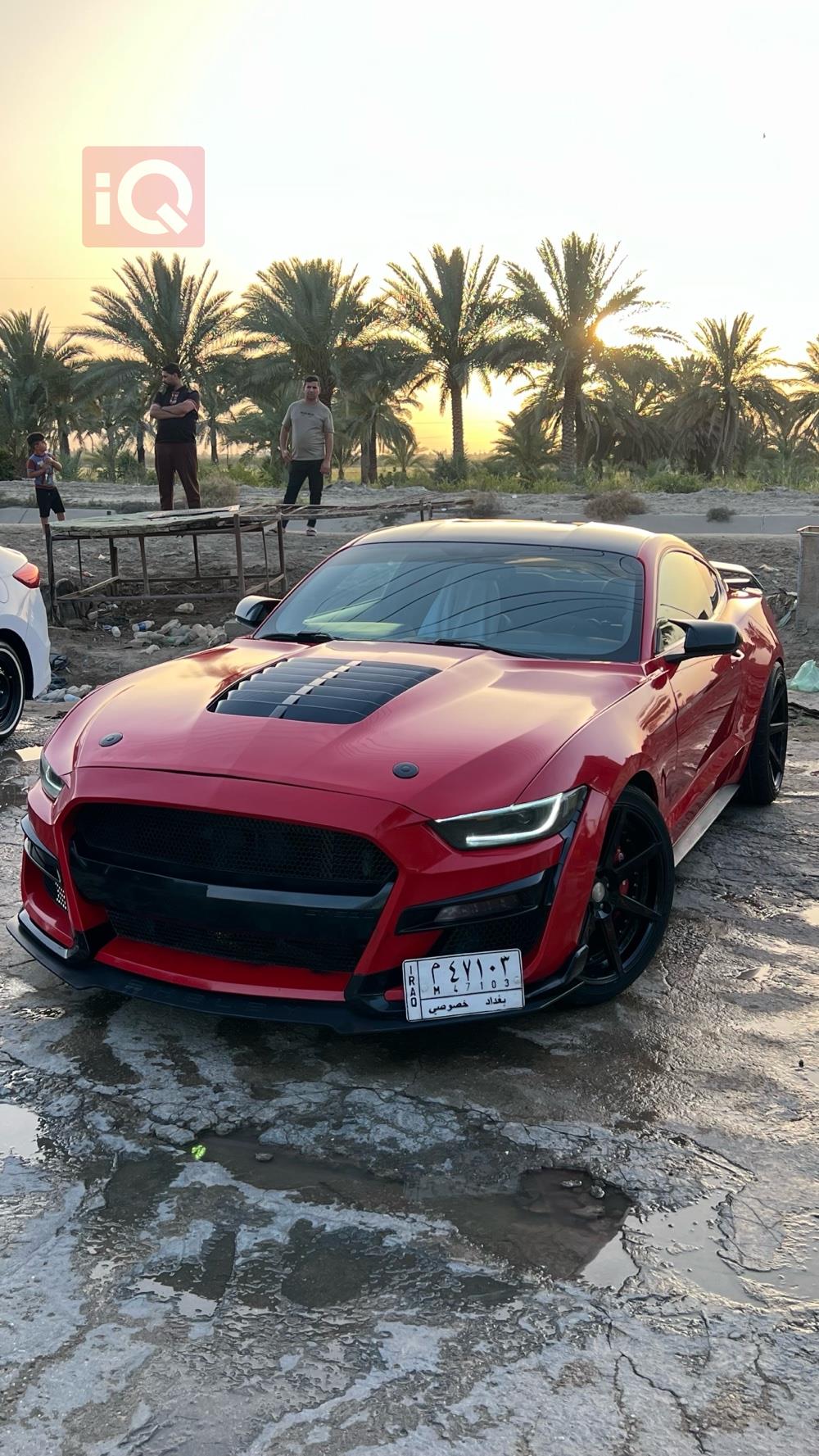 فورد موستانج